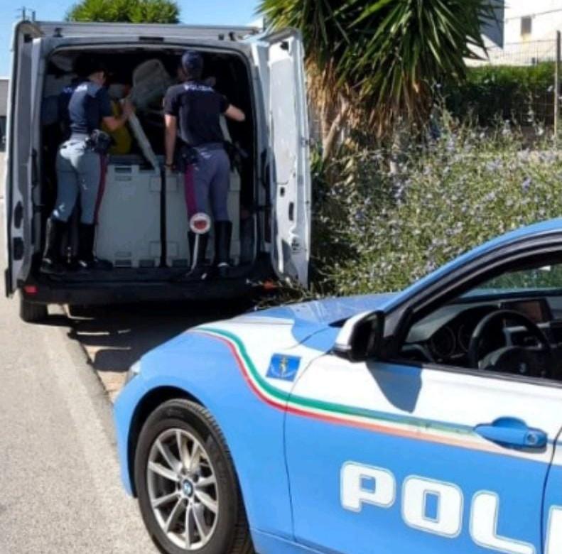 Prodotti surgelati trasportati sull’autocarro senza cella frigo