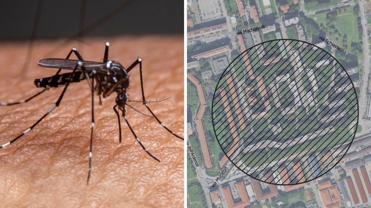 
	Dopo il caso di Dengue a Livorno scatta la disinfestazione: a destra l'area in cui sar&agrave; eseguito l'intervento

