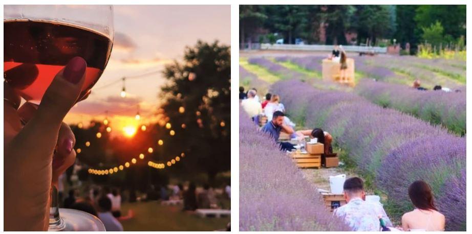 Dai filari di lavanda alle acetaie: sei posti insoliti per un aperitivo speciale in provincia di Reggio Emilia