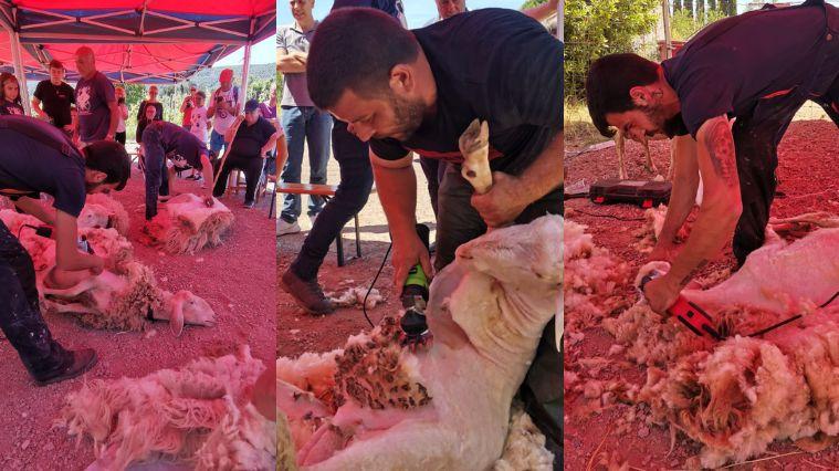“Sa tundimenta” riunisce la comunità sarda nell’Isola d’Elba