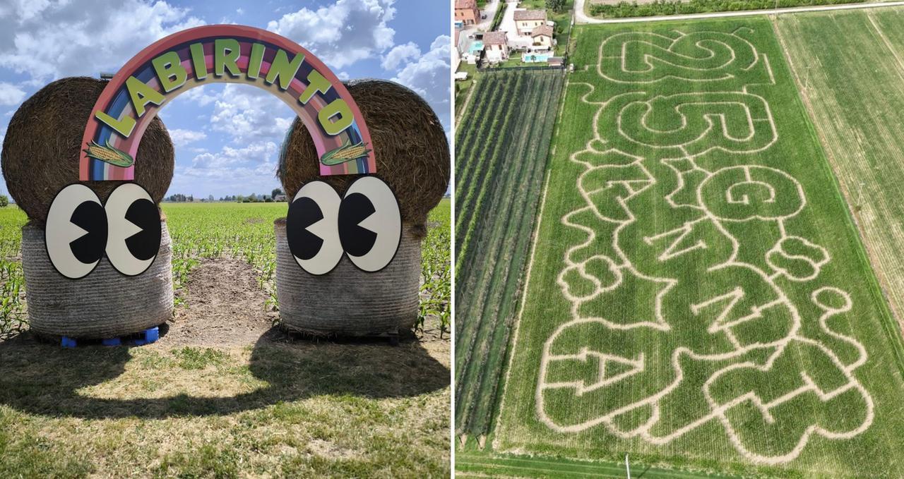 
	Il labirinto di Cavezzo

