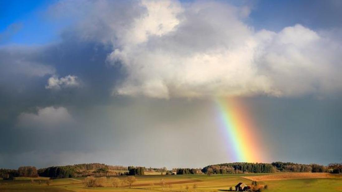 Arpae: «A Reggio nel 2024 un marcato miglioramento della qualità dell’aria»