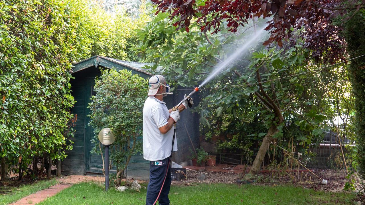 Colpita dal virus Chikungunya. Disinfestazioni a Ferrara e Santa Maria Maddalena