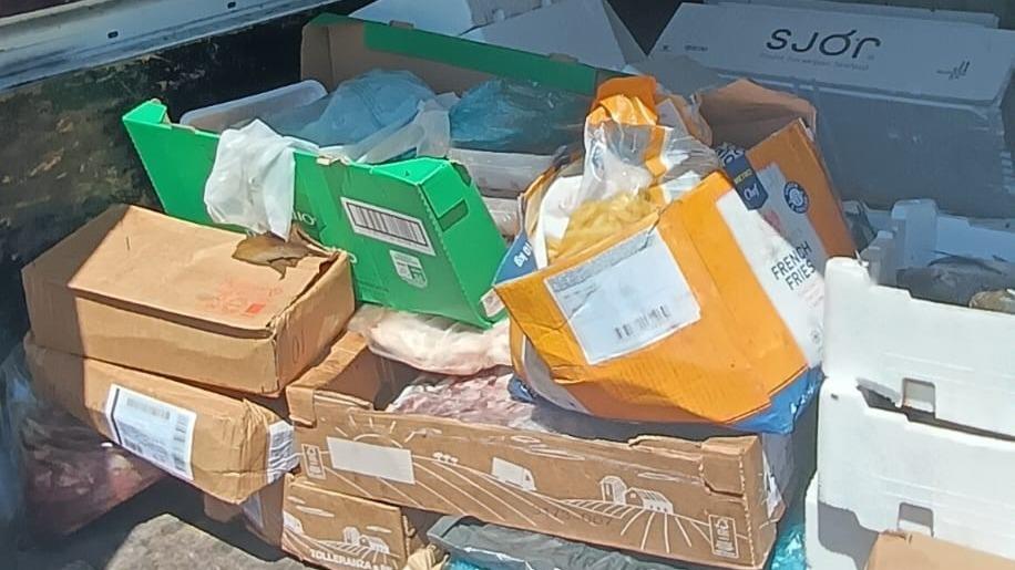 Nel cassone pesci e prodotti alimentari mal conservati: doppia sanzione per due trasportatori