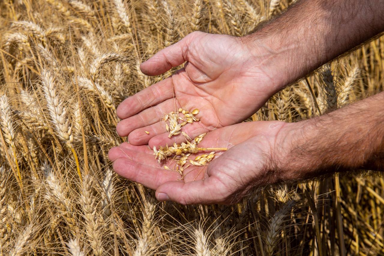 Forum AgriFuturo a Ferrara con De Castro, Bonaccini e gli agricoltori