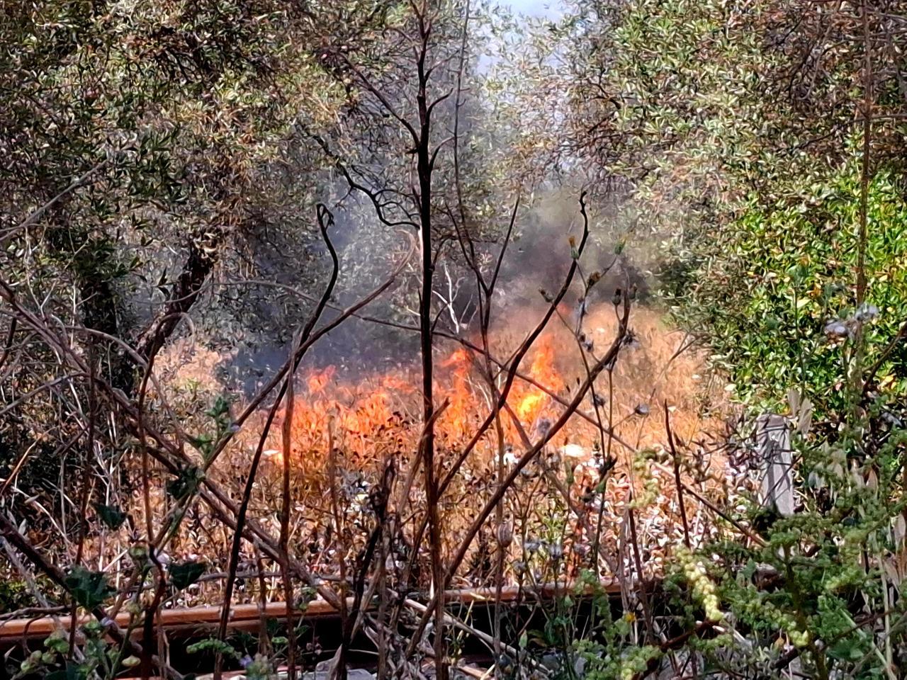 Sassari, incendio vicino alla  ferrovia: arrestato un uomo – VIDEO