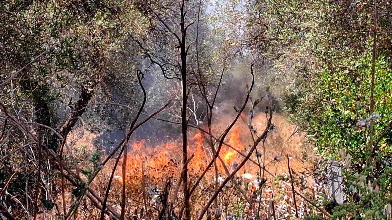 Sassari, incendio vicino alla ferrovia: arrestato un uomo – VIDEO