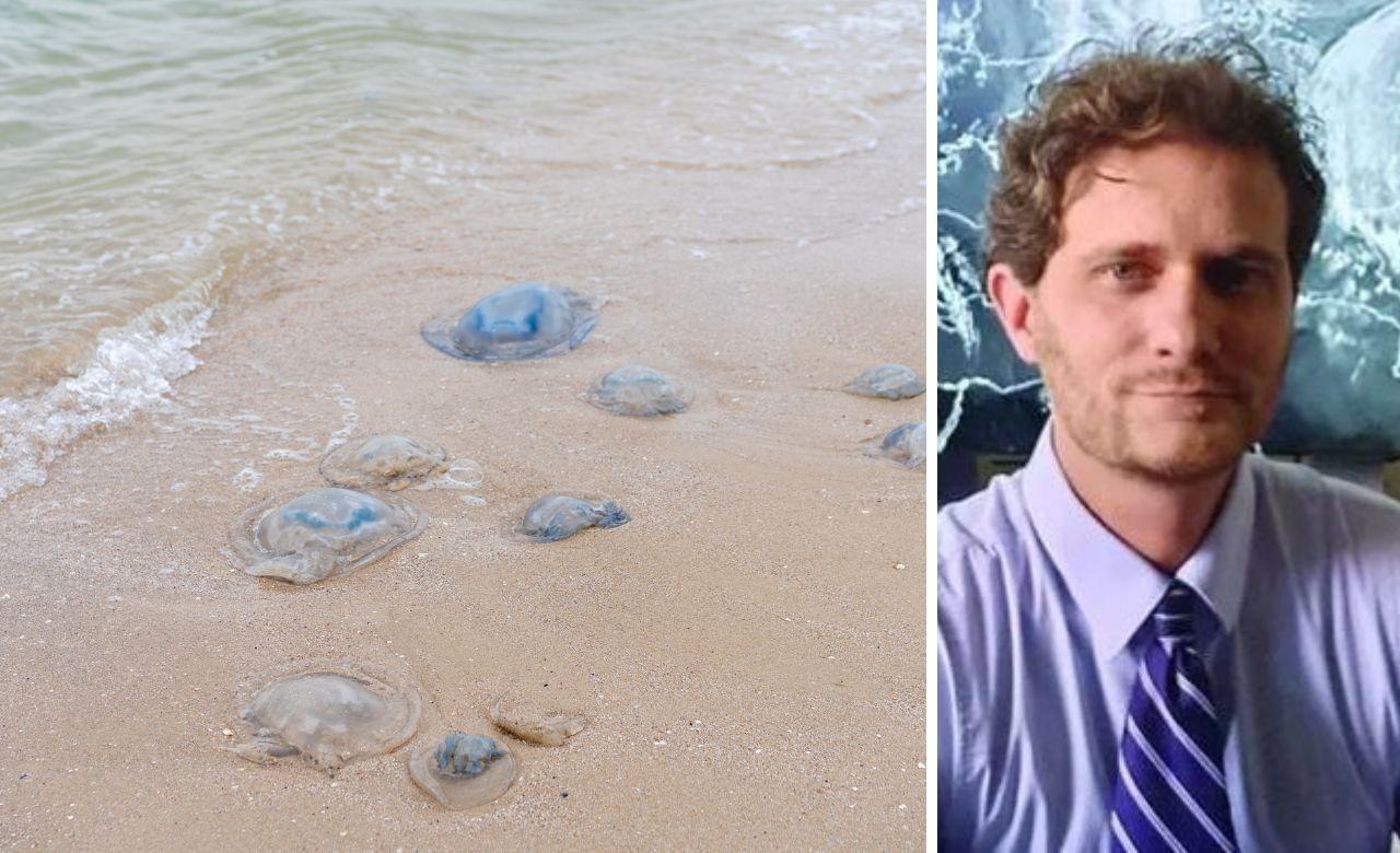 
	Una spiaggia invasa dalle meduse e il climatologo Betti

