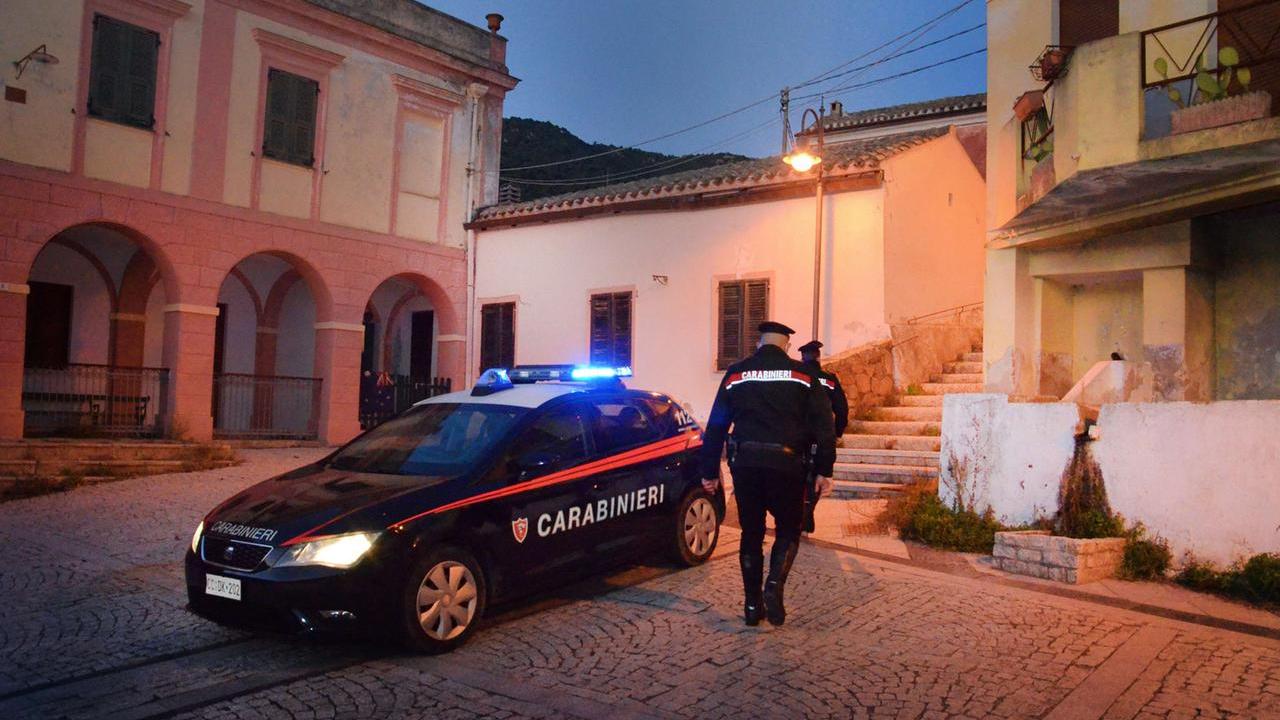 Dipendente infedele sorpreso con taniche di latte e agnelli nel bagagliaio: denunciato