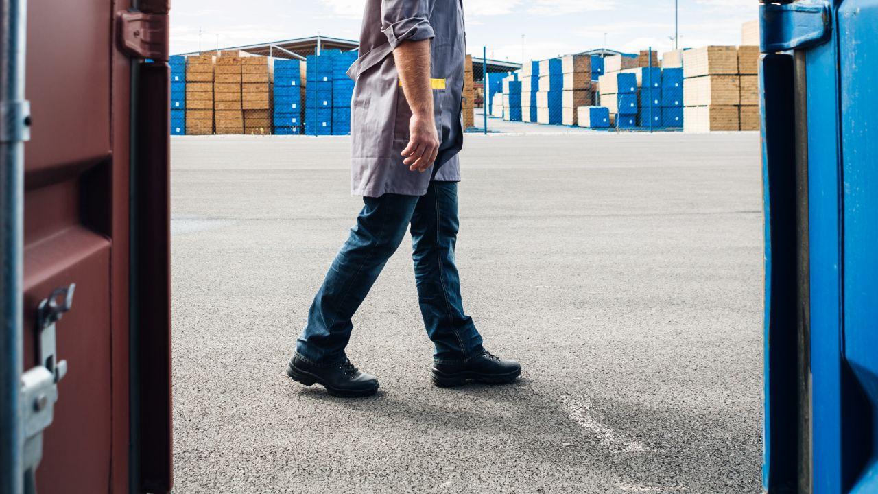 
	(foto di repertorio)

