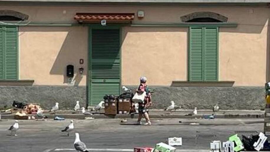 Piombino, dopo il mercato resta il disordine: tra rifiuti, gabbiani e incuria
