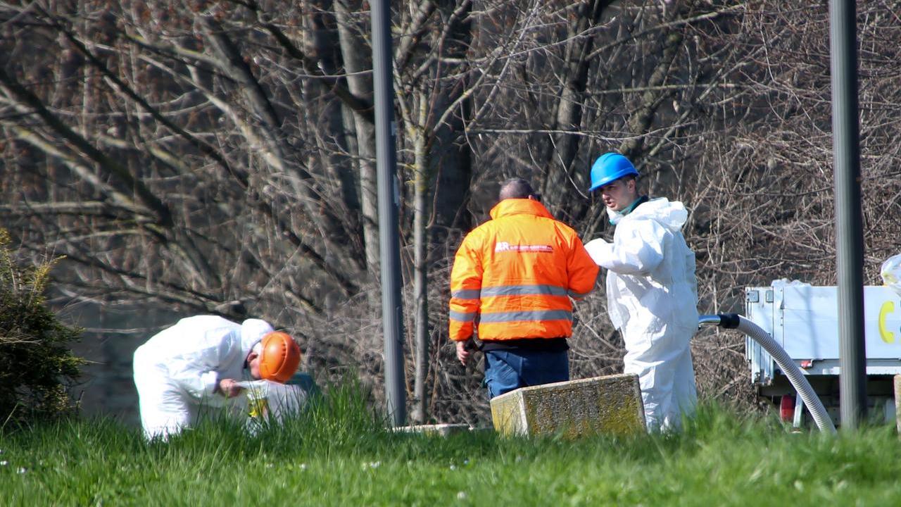 Incendio Inalca, riapre il parco della Resistenza: prosegue la rimozione della carne in decomposizione
