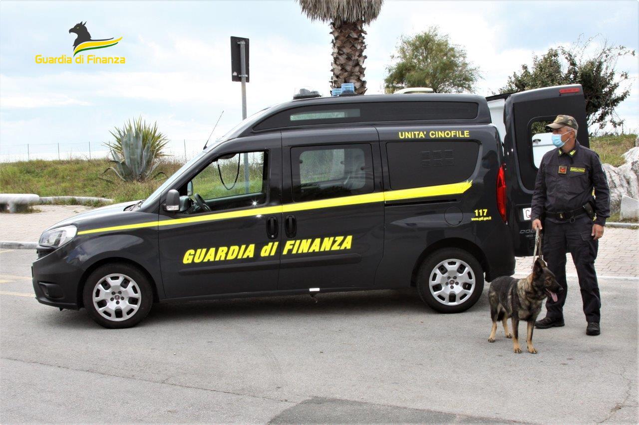 Un cane antidroga della guardia di finanza (foto d'archivio)