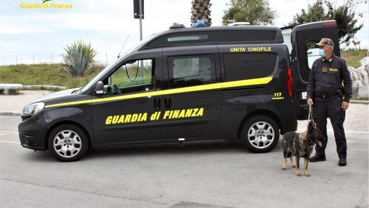 Un cane antidroga della guardia di finanza (foto d'archivio)