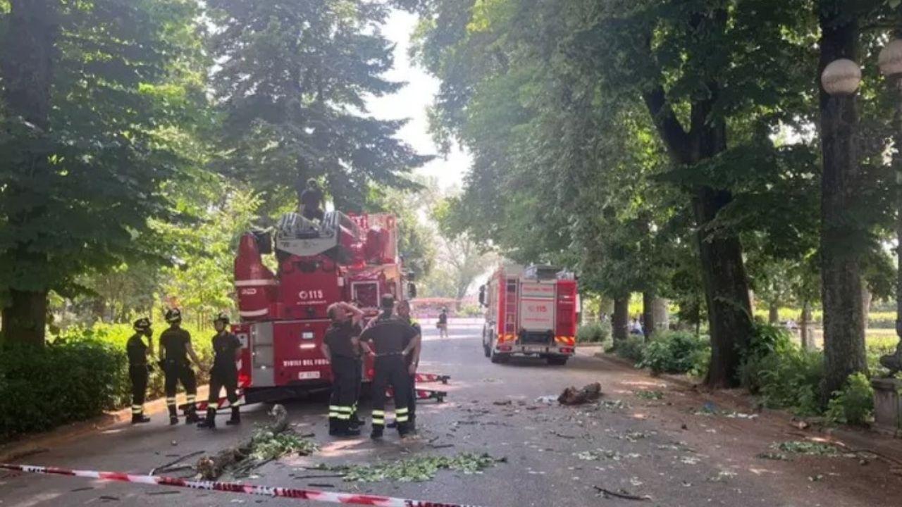 
	L'intervento dei vigili del fuoco&nbsp;

