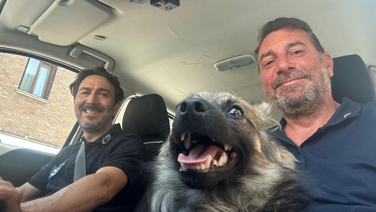 Si perde in centro a Ferrara. La Polizia salva il cagnolino Pedro