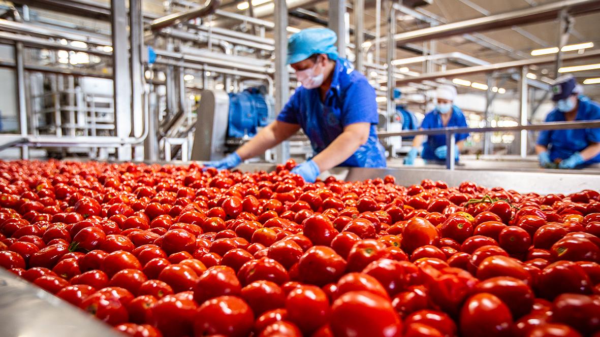 Conserve Italia cerca 110 lavoratori stagionali