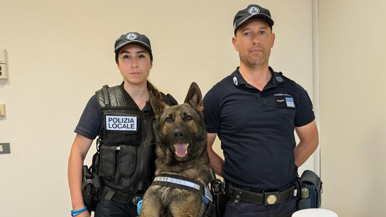 Primo blitz antidroga del cane Argo, che smaschera lo spacciatore