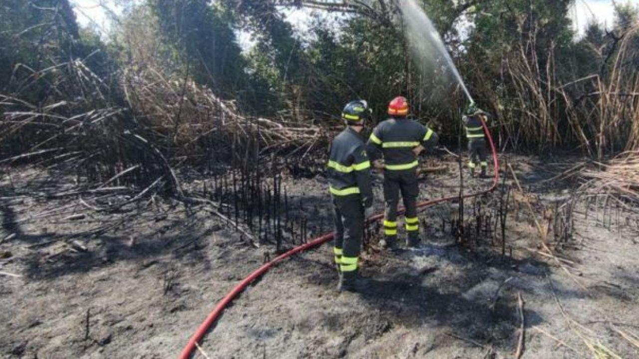 La zona dell'incendio (Foto vigili del fuoco)
