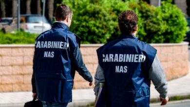 Sporco ed escrementi di topi, chiuso un ristorante a Collesalvetti