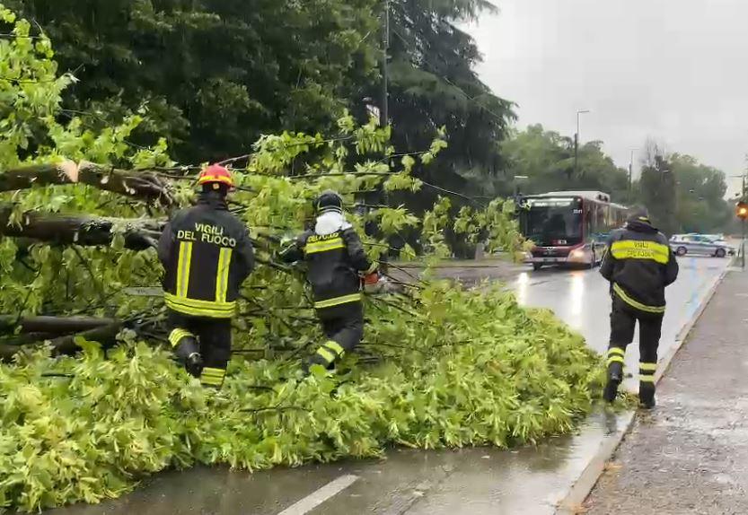 Forti temporali su Reggio Emilia e provincia: 70 mm di pioggia nel distretto ceramico, tetti scoperchiati in aziende a Scandiano