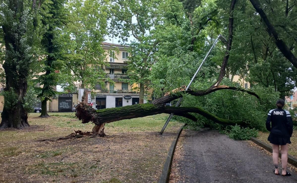 Vetrata divelta dal vento e alberi caduti. Maltempo nel Ferrarese: la conta dei danni