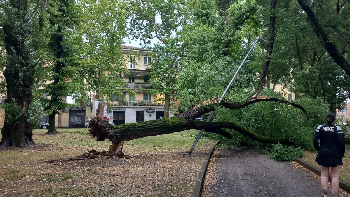 Vetrata divelta dal vento e alberi caduti. Maltempo nel Ferrarese: la conta dei danni