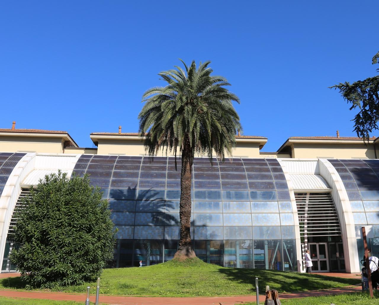 
	La struttura fiorentina

