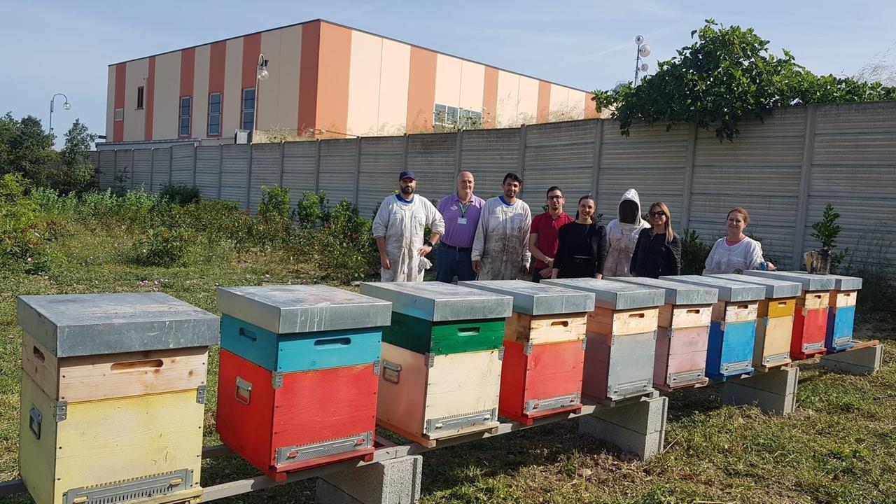 Oasi della biodiversità, l’impegno di E-Distribuzione per la tutela delle api