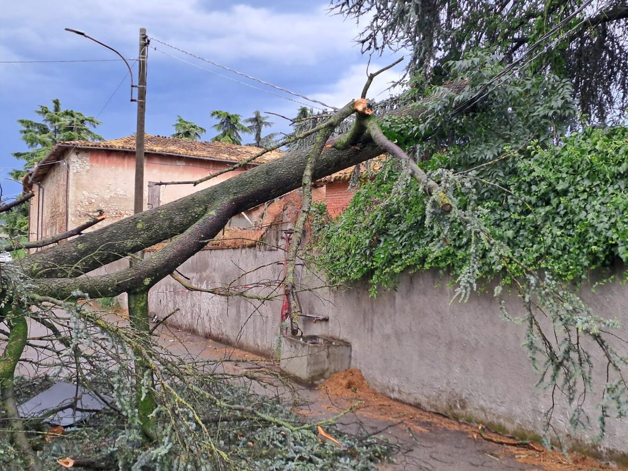 Maltempo, il “downburst” che ha spazzato la provincia di Reggio: cos’è e come si forma