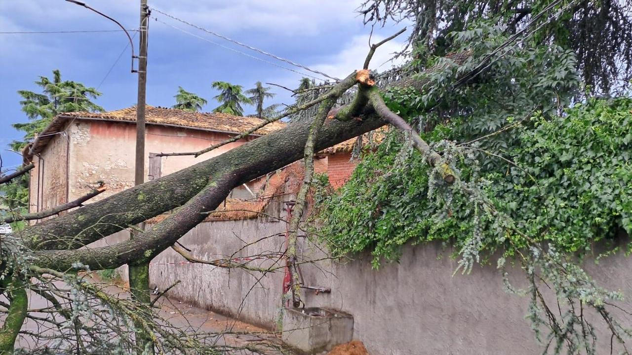 Maltempo, il “downburst” che ha spazzato la provincia di Reggio: cos’è e come si forma