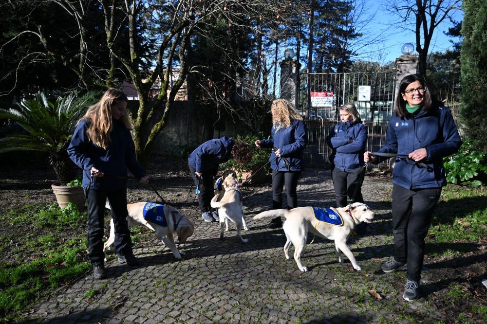 Tre esemplari della Scuola nazionale cani guida per ciechi