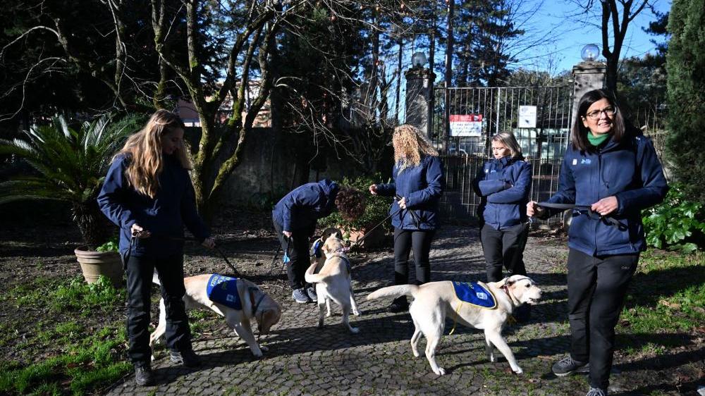 Tre esemplari della Scuola nazionale cani guida per ciechi