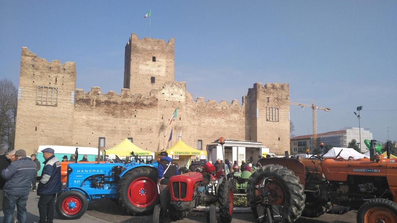 Reggiolo. manifestazione " Per non perdere il sapore"