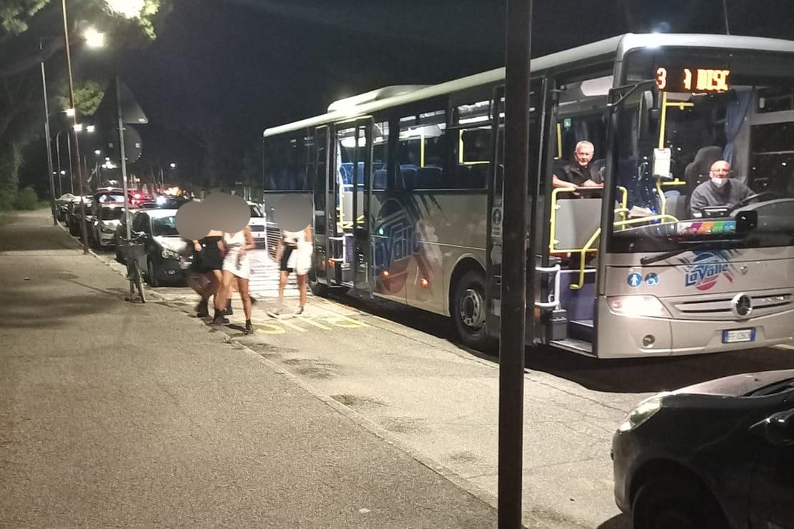 Divertirsi in sicurezza. Torna il Discobus Ferrara-mare: prima corsa il 21 giugno