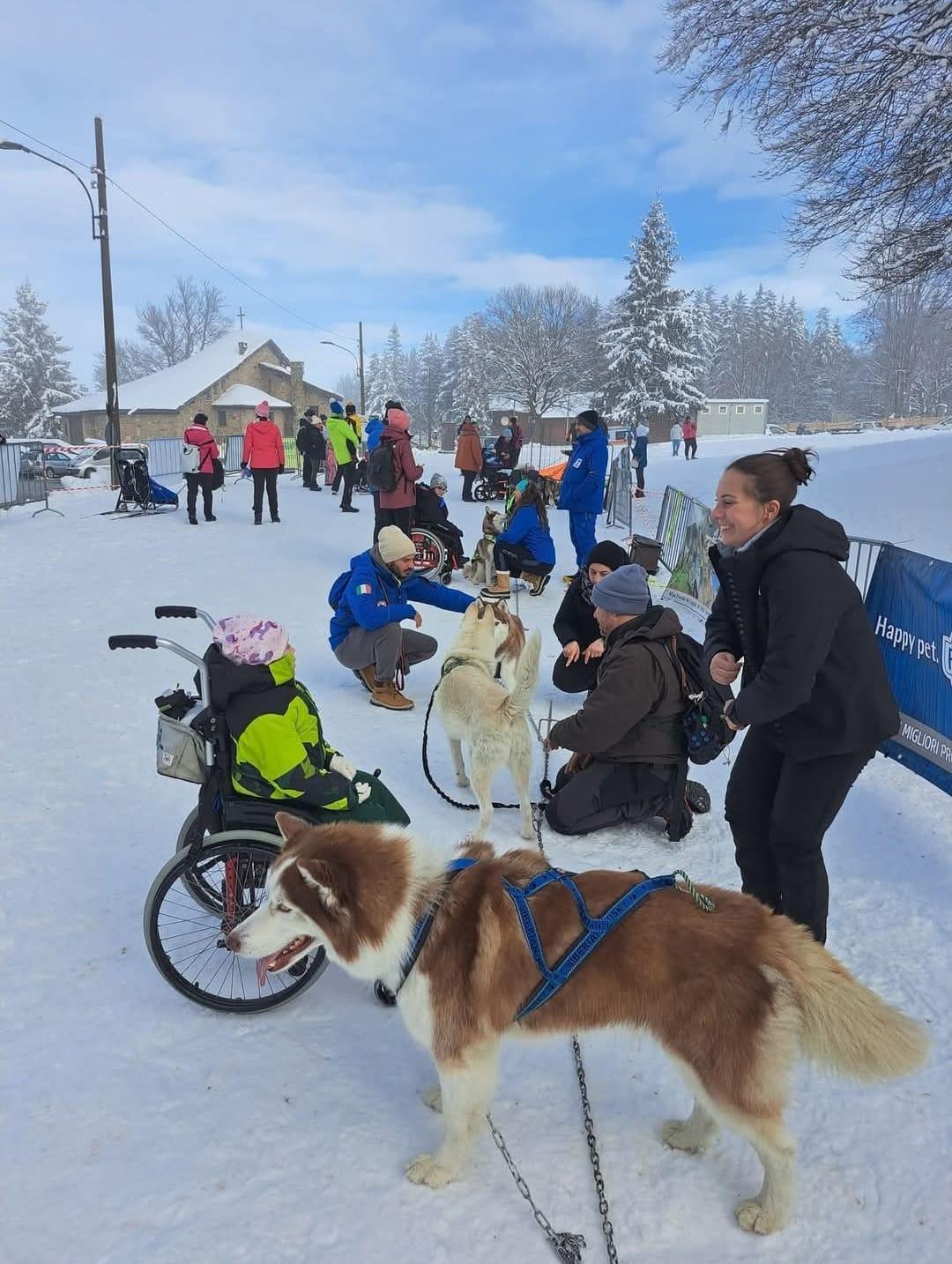 
	Il progetto si basa sull'inclusione e sulla libera scelta

