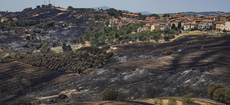 
	La campagna di Cinigiano il giorno dopo il terribile incendio del 2022 (foto Agenzia Bf)

