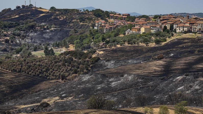 La campagna di Cinigiano il giorno dopo il terribile incendio del 2022 (foto Agenzia Bf)