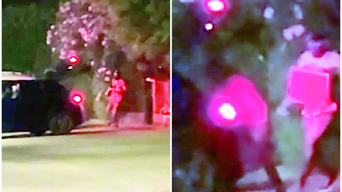 Le immagini del furto riprese dal vicino di casa