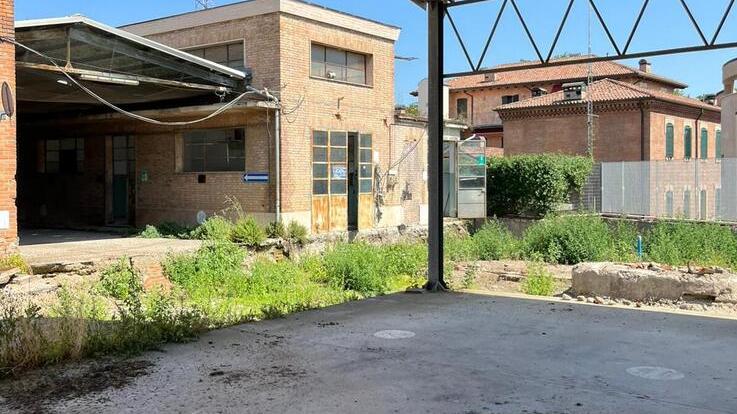 “Varco” verso un futuro verde: così sarà la riqualificazione dell’ex Amga a Ferrara