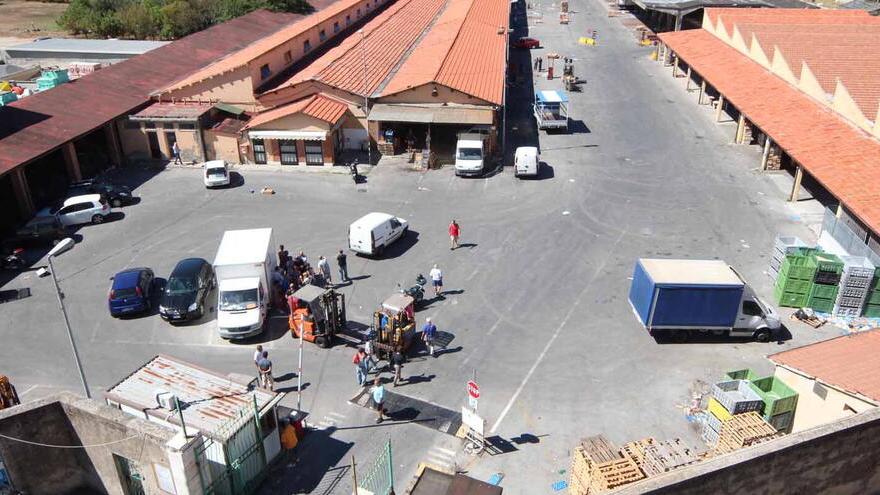 Livorno, il mercato ortofrutticolo non andrà a Porta a Terra