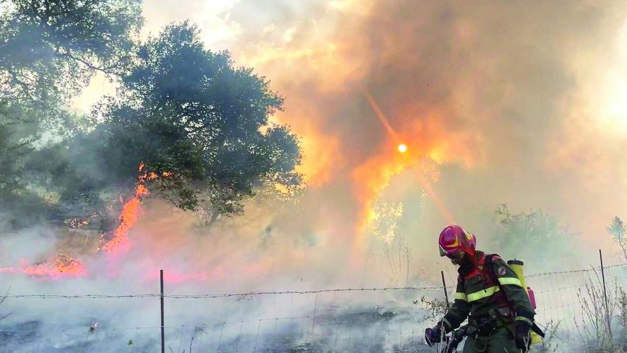 Antincendio in Sardegna: sulla carta 9534 uomini in campo, operativi meno di 1000