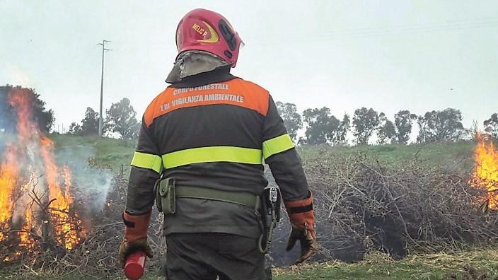 Assunzioni contro lo spopolamento: 3 stipendi Forestas salvano il paese vuoto