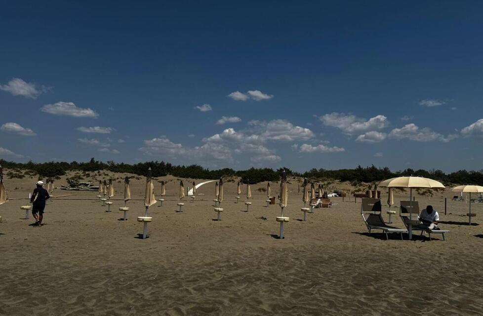 
	Gli ombrelloni posizionati sulla spiaggia

