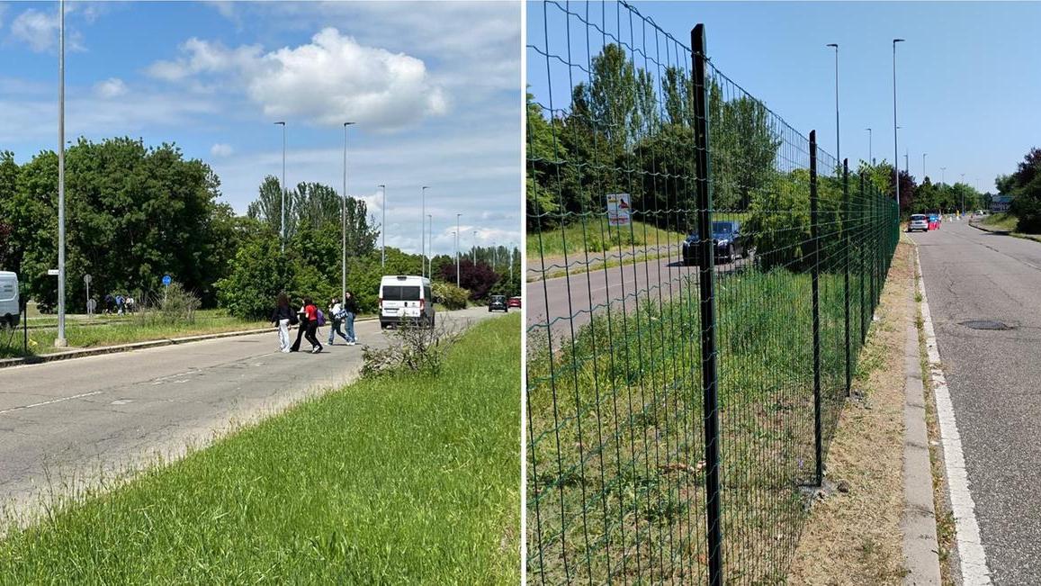 Reti in viale Italia per bloccare l’attraversamento “selvaggio” dei pedoni