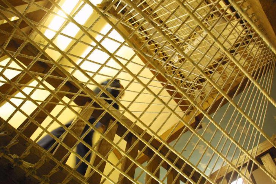 Scava per giorni un tunnel, tenta la fuga dal carcere ma rimane incastrato