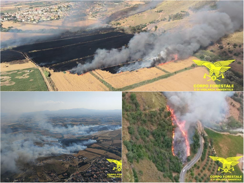 Giornata di incendi in Sardegna: 18 roghi, in fumo ettari di pascoli alberati
