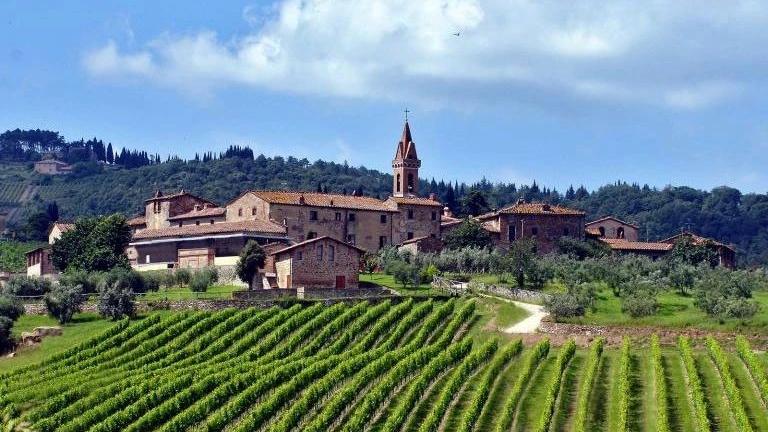 Ecco Rosambra, primo rosé da Sangiovese: la novità di Arceno 2024