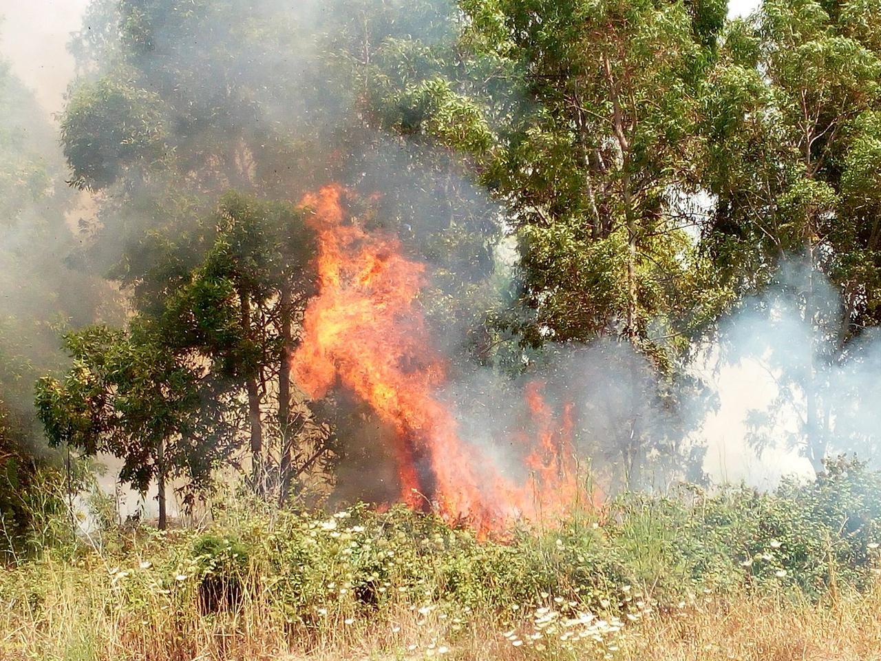 Incendio lambisce le case e distrugge campi seminati