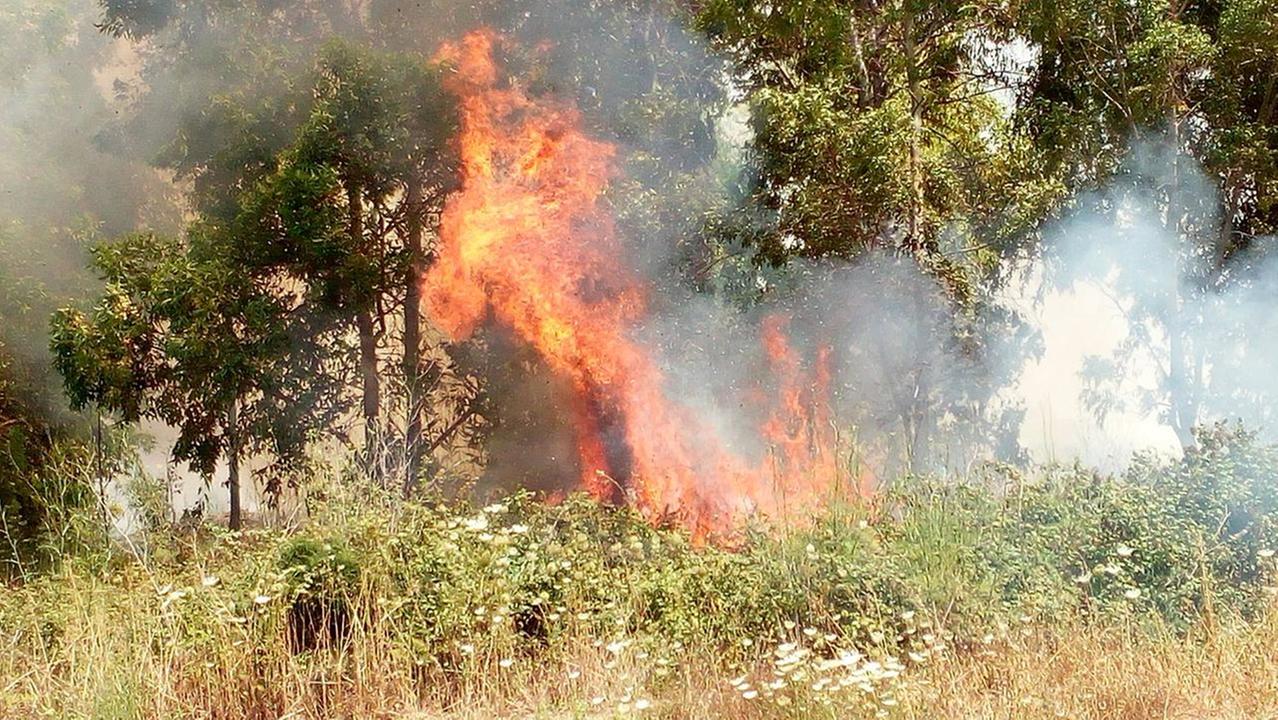 Incendio lambisce le case e distrugge campi seminati